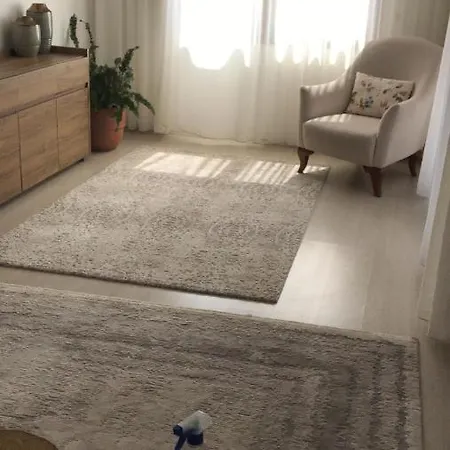 Erdalin Evii Apartment