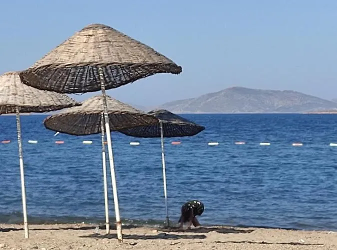 Appartement Erdalin Evii *